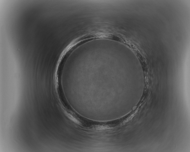 X0000116450246200912081624
