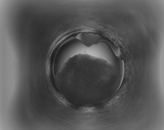 X0000116450247200912081624