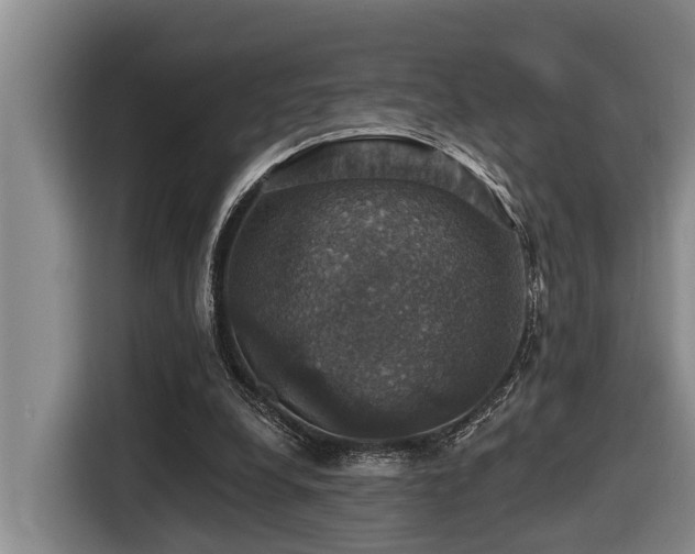 X0000116450248200912081624