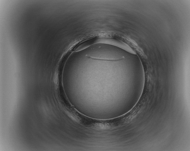 X0000116450250200912081624