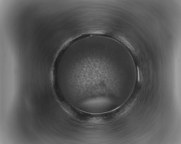 X0000116450252200912081624