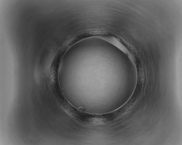X0000116450255200912081624