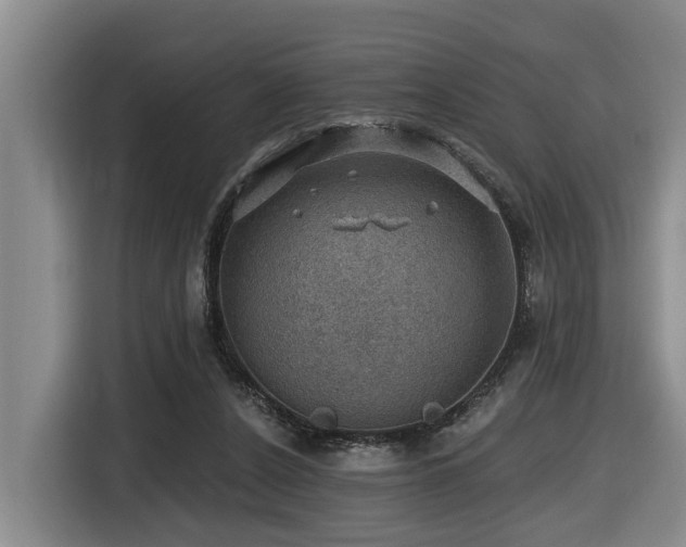 X0000116450256200912081624