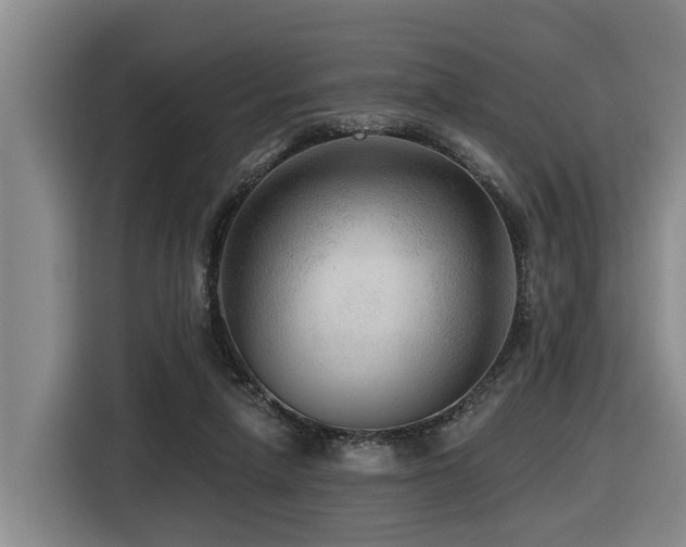 X0000116450258200912081624