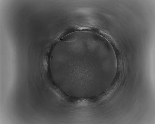 X0000116450259200912081624
