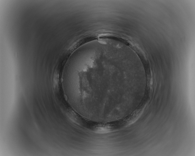 X0000116450263200912081624