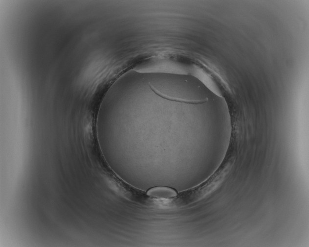X0000116450265200912081624