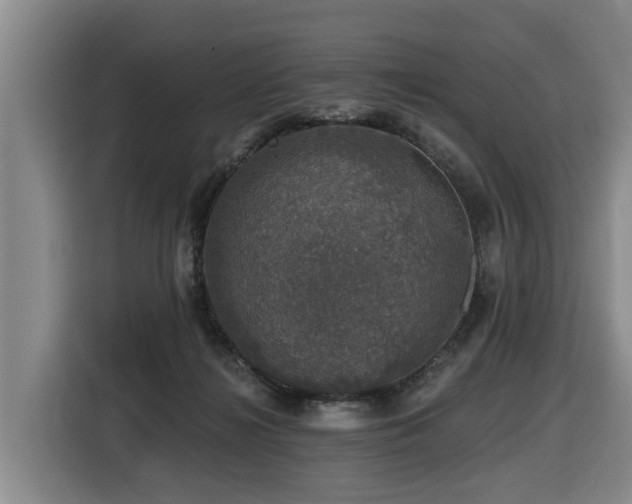 X0000116450268200912081624