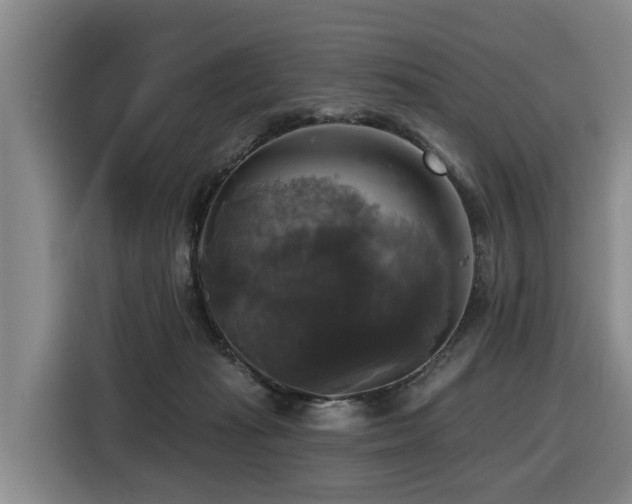 X0000116450269200912081624