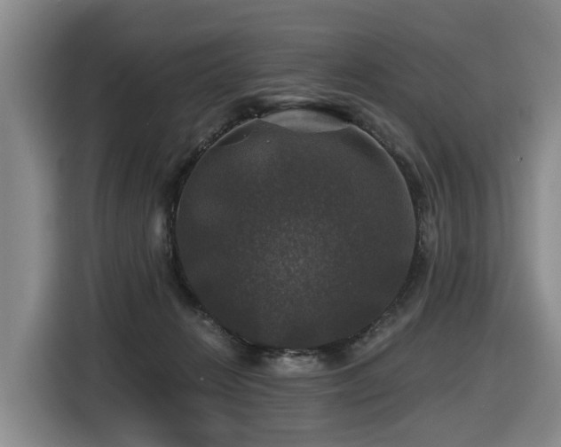 X0000116450270200912081624