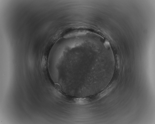 X0000116450273200912081624