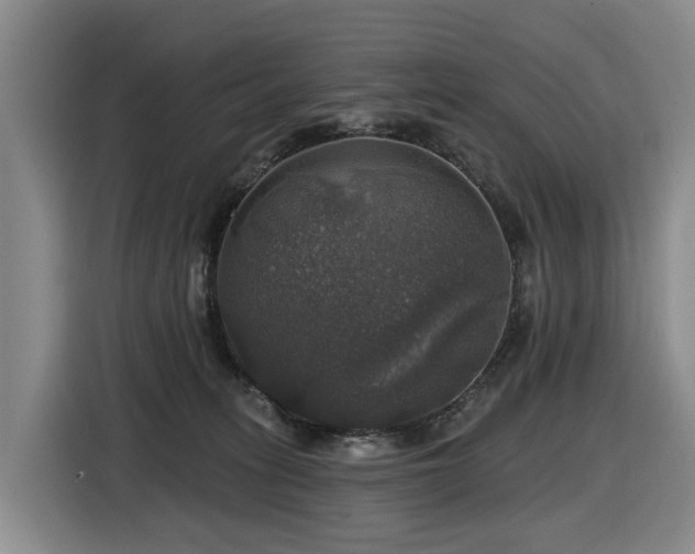 X0000116450275200912081624