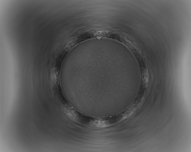 X0000116450276200912081624