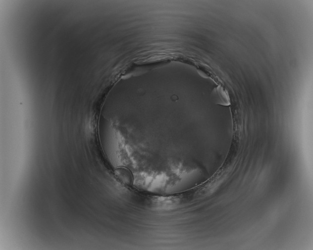 X0000116450277200912081624