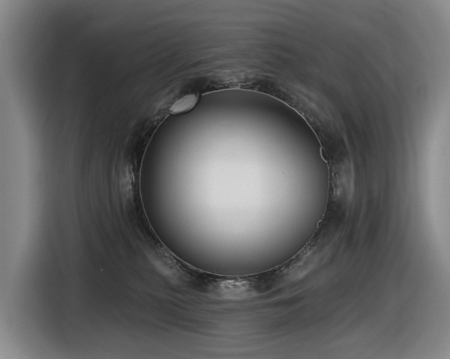 X0000116450279200912081624