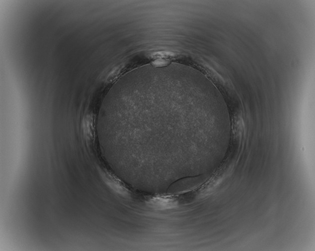 X0000116450280200912081624