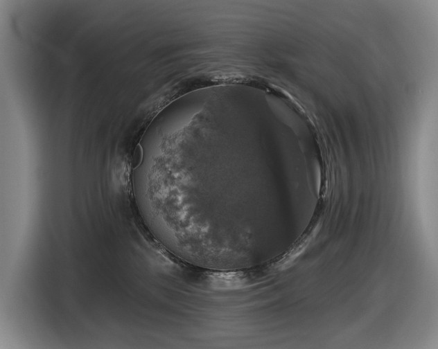X0000116450281200912081624
