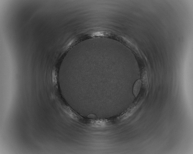 X0000116450282200912081624