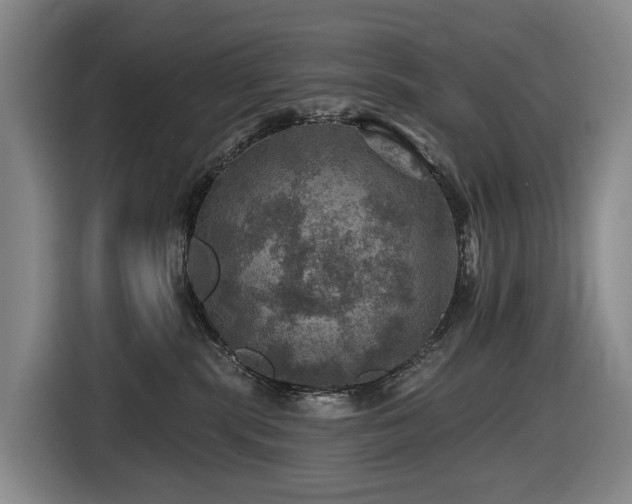 X0000116450283200912081624