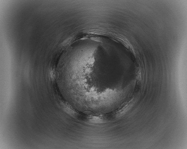 X0000116450285200912081624