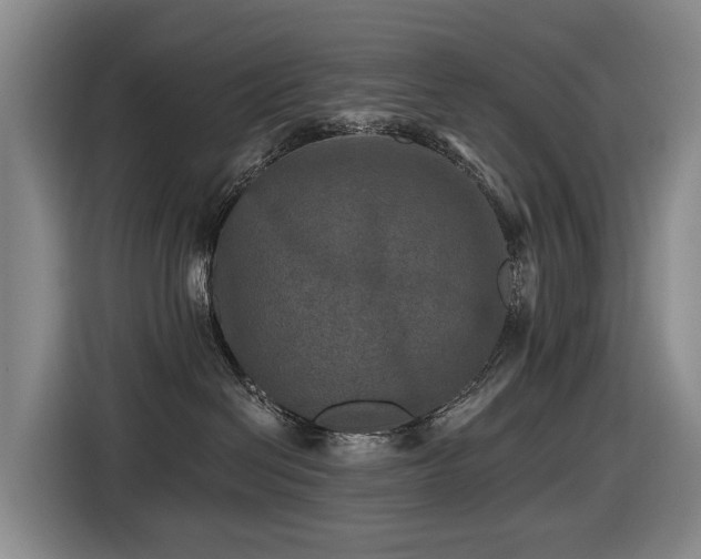 X0000116450286200912081624