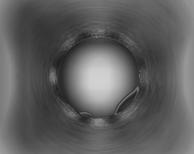 X0000116450287200912081624
