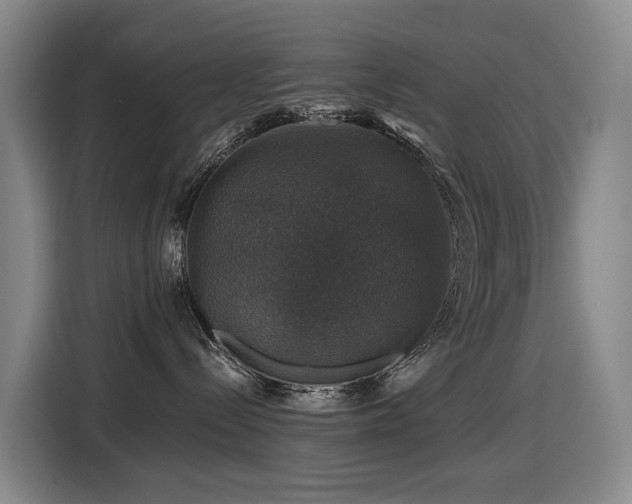 X0000116450288200912081624