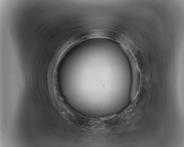 X0000116450289200912081624
