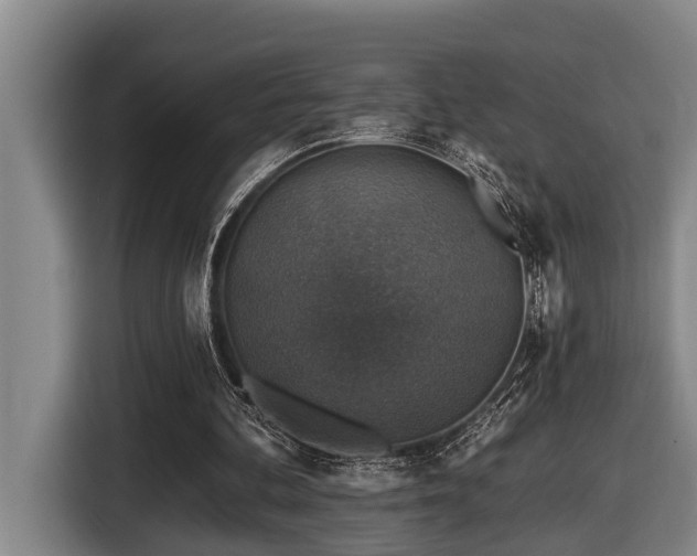 X0000116450292200912081624