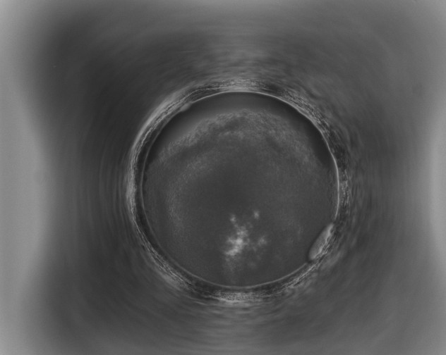 X0000116450293200912081624