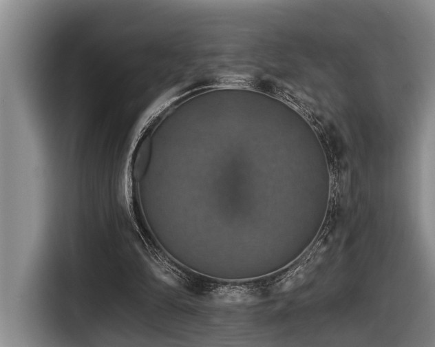 X0000116450294200912081624