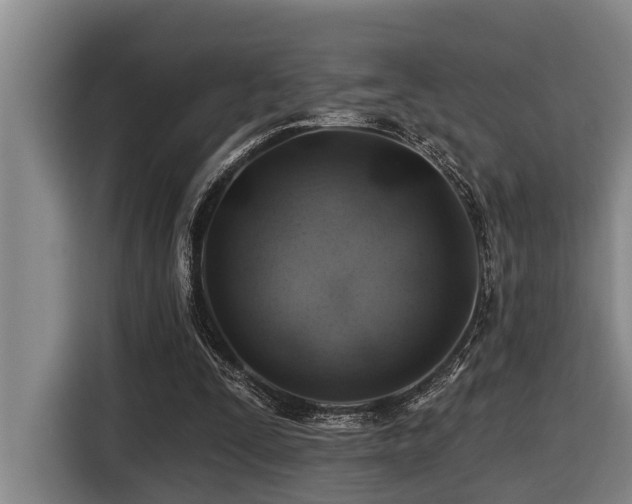 X0000116450295200912081624