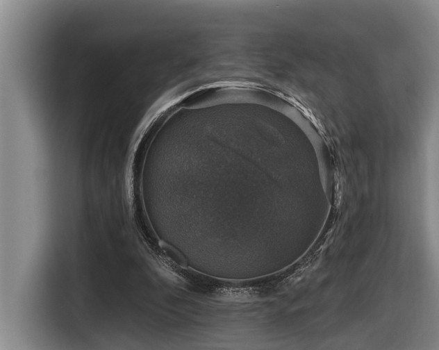 X0000116450296200912081624