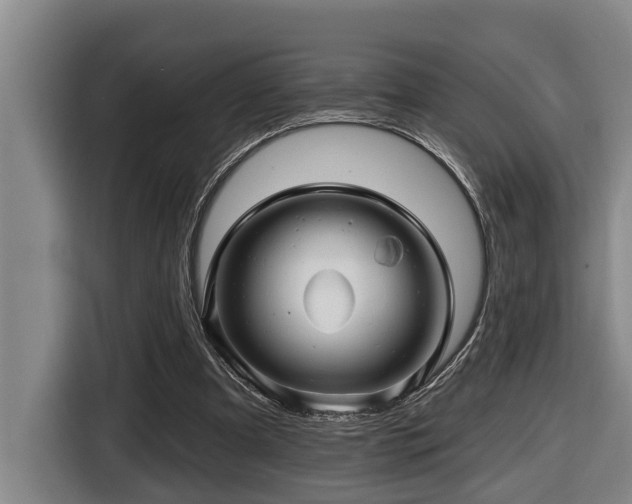 X0000116450297200912081624