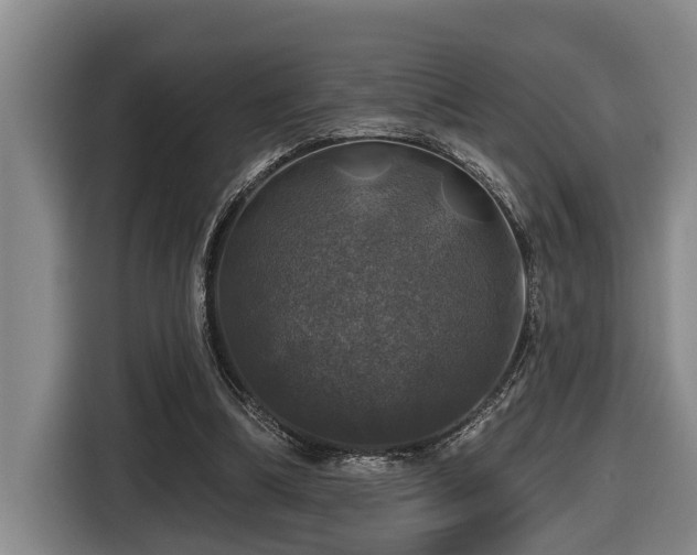 X0000116450298200912081624