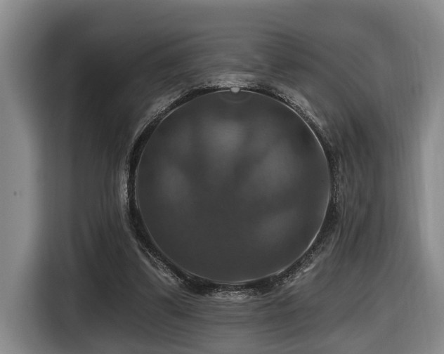 X0000116450299200912081624