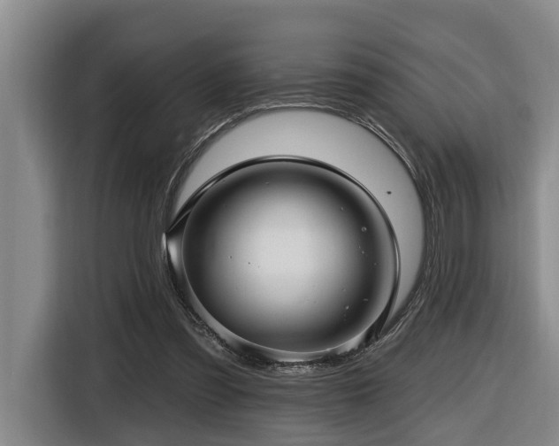 X0000116450301200912081624