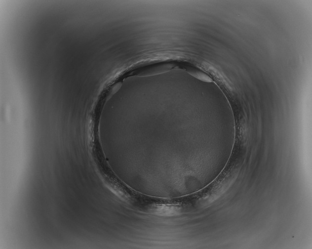 X0000116450303200912081624