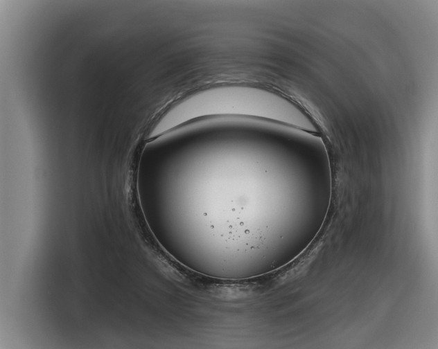 X0000116450305200912081624