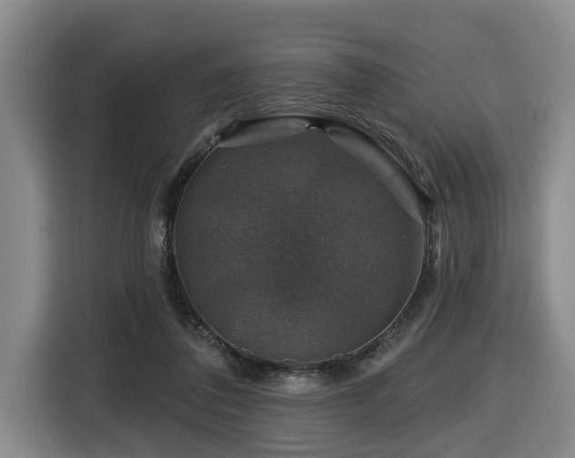 X0000116450308200912081623