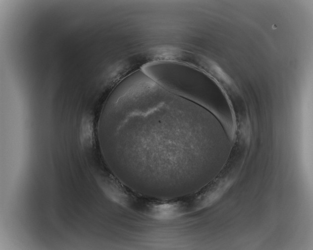X0000116450312200912081623
