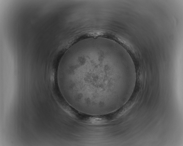 X0000116450315200912081623