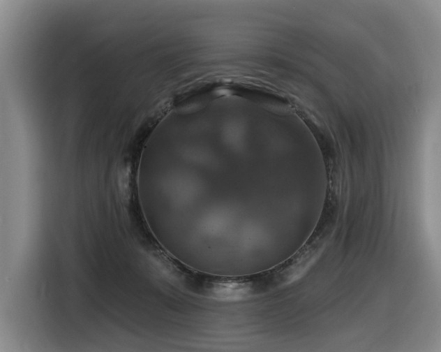 X0000116450319200912081623