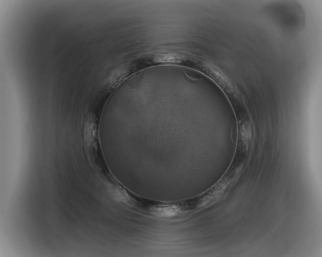 X0000116450322200912081623