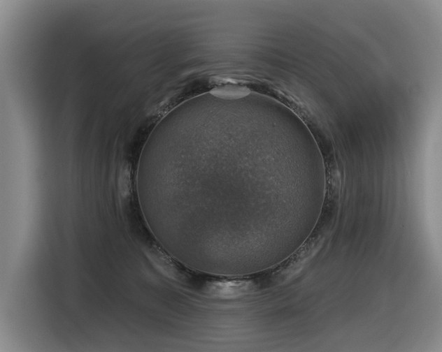 X0000116450323200912081623
