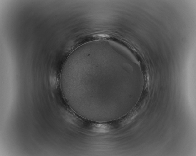 X0000116450324200912081623
