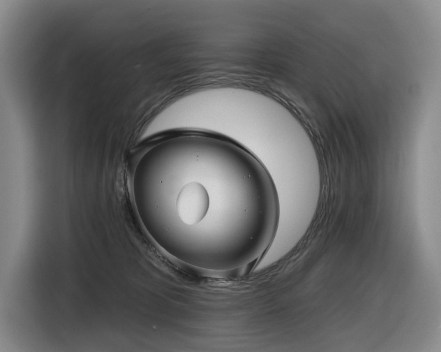 X0000116450325200912081623