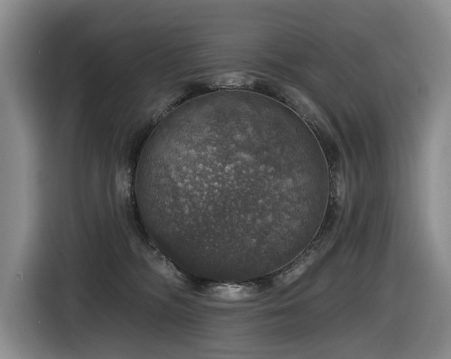 X0000116450326200912081623