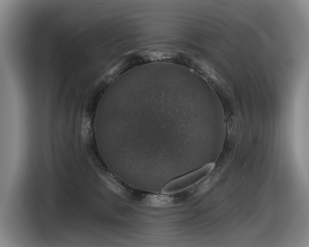 X0000116450327200912081623