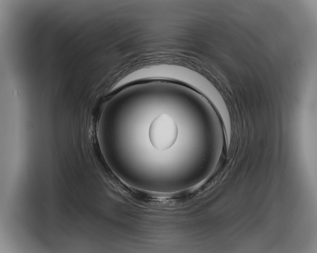 X0000116450328200912081623